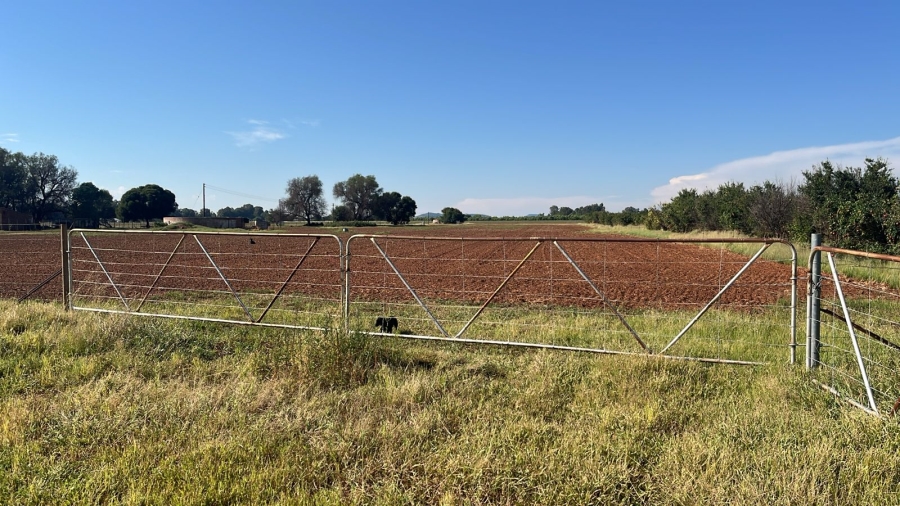 Commercial Property for Sale in Arcadia SH Free State